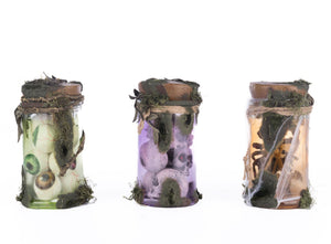 Katherine's Collection Broomstick Acres Potion Jars, Assortment of 3