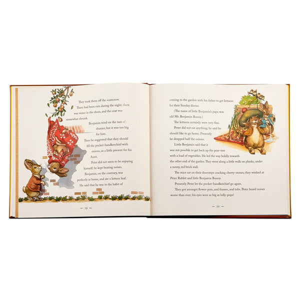 Load image into Gallery viewer, Graphic Image The Classic Tale of Peter Rabbit - Leather Book
