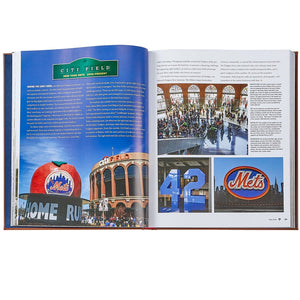 Graphic Image Ballparks Past and Present - Leather Book