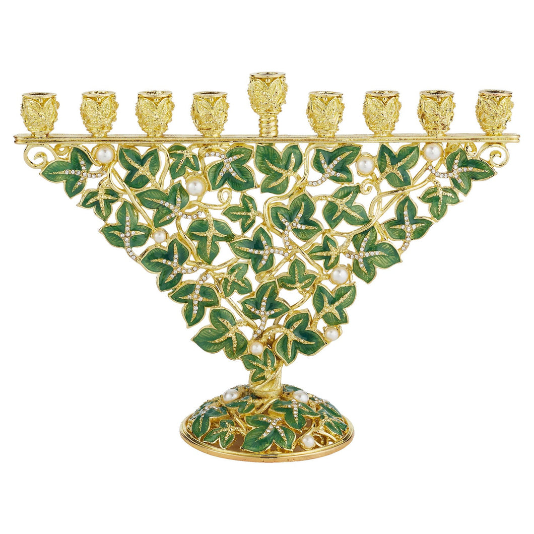 Olivia Riegel Ivy Menorah