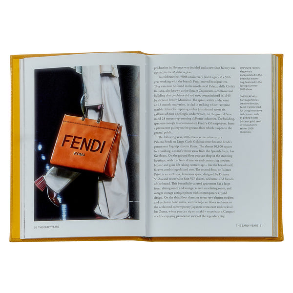 Load image into Gallery viewer, Graphic Image Little Book of Fendi - Leather Book
