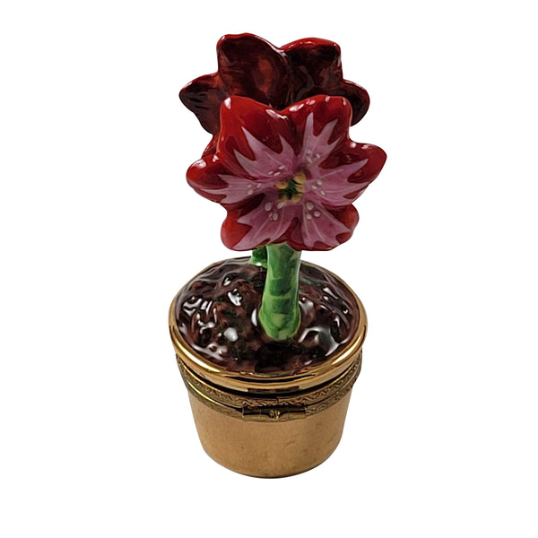 Load image into Gallery viewer, Rochard &quot;Red and Pink Amaryllis with Watering Can&quot; Limoges Box
