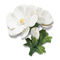 AERIN Cosmos Porcelain Flower - White