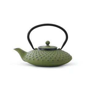 Bredemeijer 27 fl oz Teapot Cast Iron Green XILIN