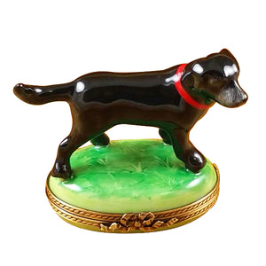 Rochard "Standing Black Labrador" Limoges Box