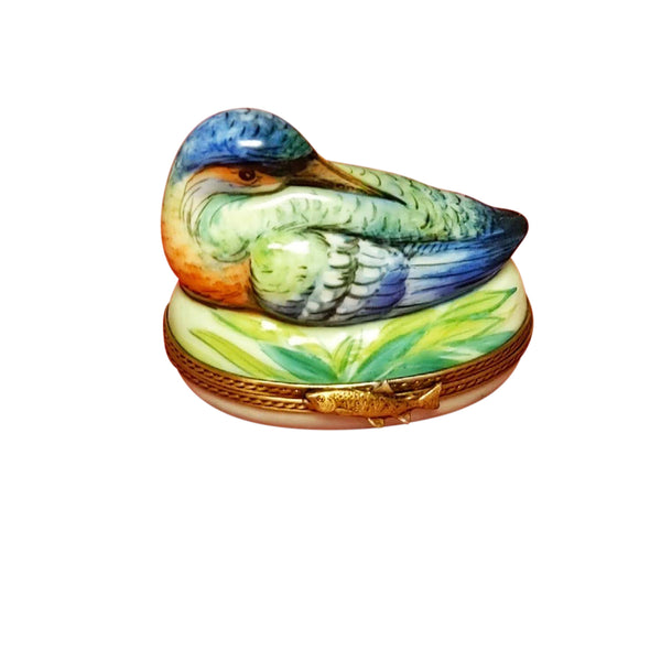 Load image into Gallery viewer, Colorful Duck Limoges Box
