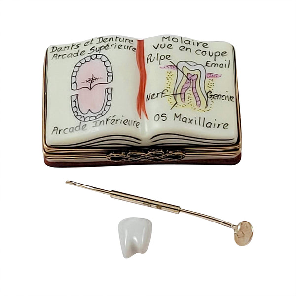 Load image into Gallery viewer, Rochard &quot;Dentist Book with Removable Instrument and Tooth&quot; Limoges Box
