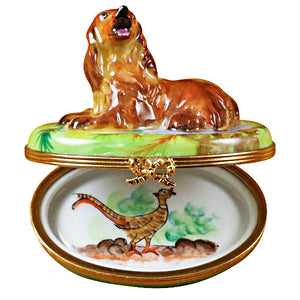 Irish Setter Limoges Box