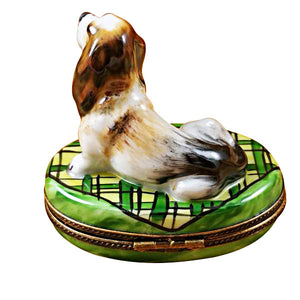 Basset Hound Limoges Box